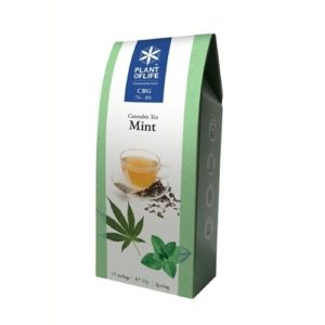 INFUSO-CBG-ALLA-MENTA -cannabis-eco-tea-mint-infusi-e-tè-di-canapa