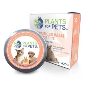 Linea Pet - Balsamo CBD 600mg ad Azione Riparatrice e Curativa