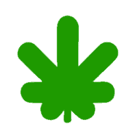cannabizzando hemp shop tutti i prodotti