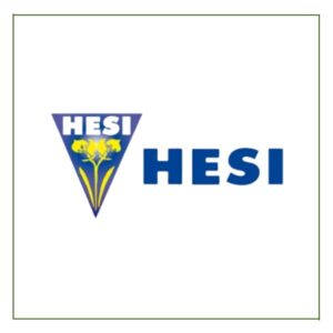 Hesi