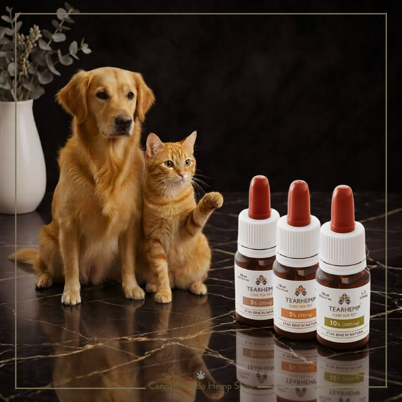 Tearhemp CBD Oil 5% Care For Pet - Full Spectrum (10ml) - immagine 3