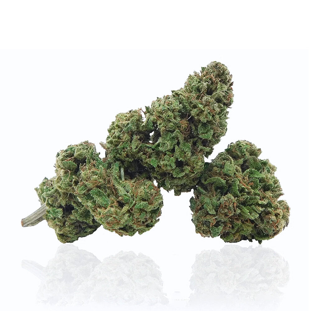 La Jack Herer CBD (varietà certificata di canapa legale) rappresenta la scelta ideale per chi desidera ritrovare serenità senza effetti psicoattivi