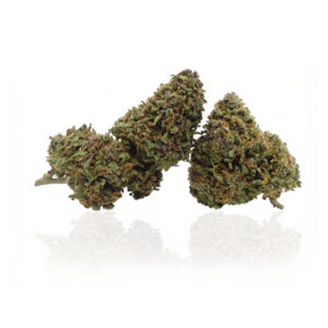 La lemon haze CBD è un'infiorescenza di canapa legale dall'intenso gusto di limone, perfetta per chi desidera rilassarsi in maniera piacevole senza avere effetti psicoattivi.