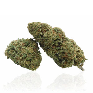 La skunk cherry è una infiorescenza di canapa legale e si distingue per i suoi grossi fiori pesanti e compatti dal gusto deciso. Il suo profumo intenso e travolgente richiama la classica varietà di Skunk e la sua alta percentuale di CBD la rende molto rilassante