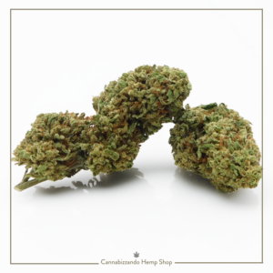 Scopri la White Widow CBD: cime innevate di resina e un profumo fresco di bosco. Rilassamento naturale e qualità certificata. La tua canapa legale 2025/2026
