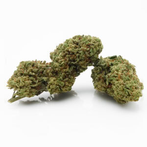 Scopri la White Widow CBD: cime innevate di resina e un profumo fresco di bosco. Rilassamento naturale e qualità certificata. La tua canapa legale 2025/2026